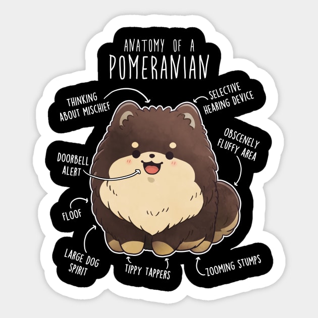 Chocolate and Tan Pomeranian Dog Anatomy Sticker by Psitta